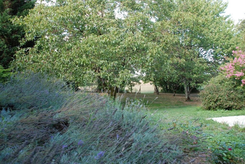 Uniquely Private Holiday Villa In The Charente Puyreaux Екстериор снимка