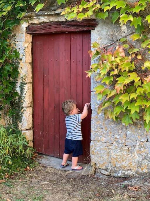 Uniquely Private Holiday Villa In The Charente Puyreaux Екстериор снимка
